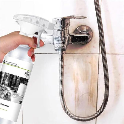 Multipurpose Oxalic Acid Stain Removal Spray(PACK 2)